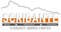 SCRIBANTE MINING LTD